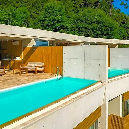 Otel Thesis